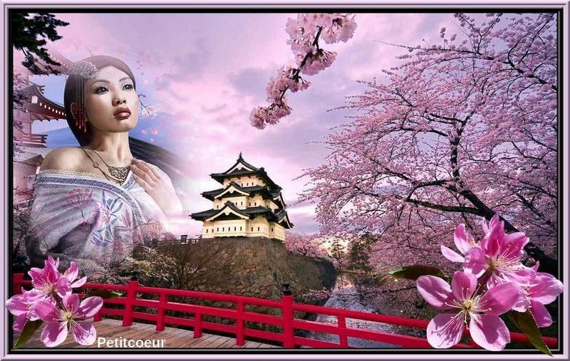 Japan-Hirosaki-Castle-pink-cherry-blosso