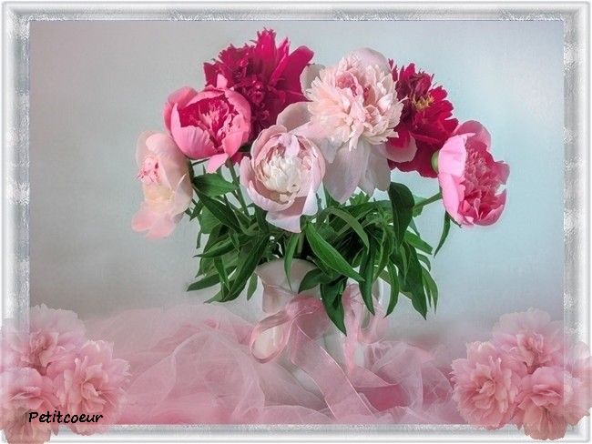 Peonies_Vase_463699-Copie-3.jpg
