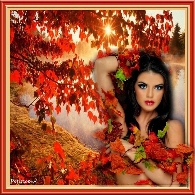 arbre-en-automne--coucher-du-soleil-sur-