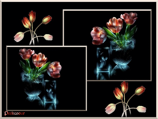 tulipes.gif
